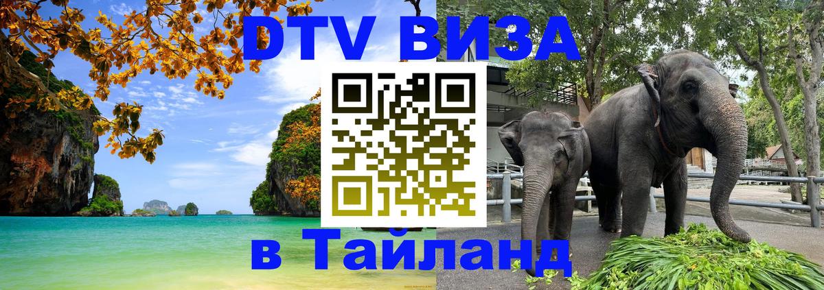 Оформление DTV визы под ключ: стоимость и тарифы, только загранпаспорт - Йошкар-Ола  03.10.2025 